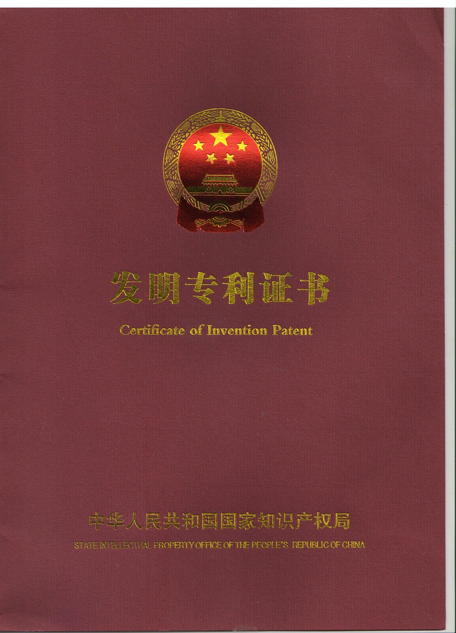 17一種潛液泵控制系統--發(fā)明專(zhuān)利2